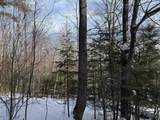 19 Stone Ridge Loop - Photo 21