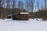 1227 Vermont Route 30 - Photo 41