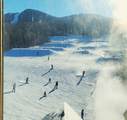 90 Loon Mt. Road - Photo 8