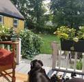 28 Upper Cherry Street - Photo 13