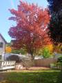 24 Laurel Street - Photo 33