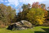 1422 Cabot Road - Photo 30