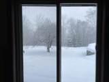 1422 Cabot Road - Photo 9