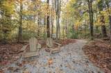 6 Birch Tree Lane - Photo 7