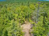 TBD Stocker Pond Road - Photo 11