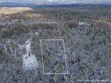  Effingham Farm Road - Photo 5