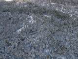  Effingham Farm Road - Photo 8