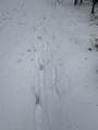 000 Darling Hill Road - Photo 27