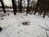 000 Darling Hill Road - Photo 9