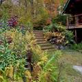 660 Patch Hill Road - Photo 55