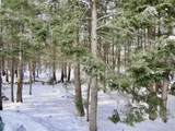 344 Old Lakeshore Road - Photo 26