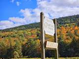 673 Vt Rte 121 East - Photo 55