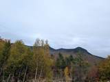90 Loon Mountain Road - Photo 21
