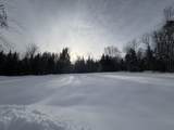 905 Peak Road - Photo 18