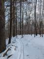1520 Province Road - Photo 11