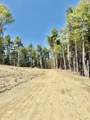 1520 Province Road - Photo 13