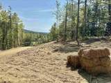 1520 Province Road - Photo 15