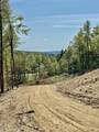 1520 Province Road - Photo 17