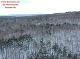 1520 Province Road - Photo 9