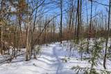 Tax Map5B Lot97 Nh Route 114 - Photo 21