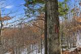 Tax Map5B Lot97 Nh Route 114 - Photo 22