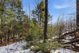 Tax Map5B Lot97 Nh Route 114 - Photo 23