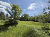 1033 Burrington Hill Road - Photo 50