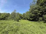 1033 Burrington Hill Road - Photo 56