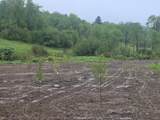 109 River Road - Photo 50