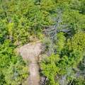 TBD Stocker Pond Road - Photo 6