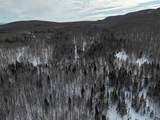  Stannard Mountain Road - Photo 31