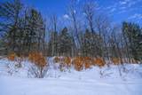 Lot 1 Timber Creek Road - Photo 6