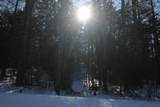 00 Covered Bridge Road - Photo 20