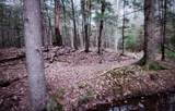 00 Covered Bridge Road - Photo 32