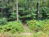 00 Covered Bridge Road - Photo 33