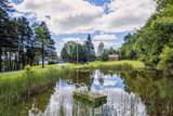 196 Cowdrey Outlook - Photo 4