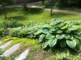 60 Irish Lane - Photo 2