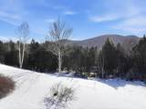513 Deer Brook Way - Photo 54