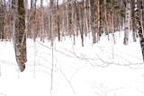 0 Markham Mountain Road - Photo 5