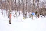 0 Markham Mountain Road - Photo 6