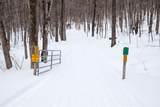 0 Markham Mountain Road - Photo 7