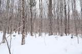 0 Markham Mountain Road - Photo 8