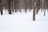 0 Markham Mountain Road - Photo 9
