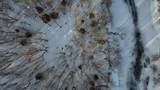 Lot 6 Old River Road - Photo 13