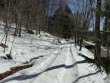 00 Turkey Mountain Road - Photo 31