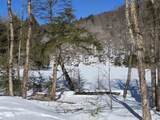 00 Turkey Mountain Road - Photo 43