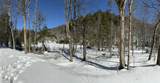 00 Turkey Mountain Road - Photo 44