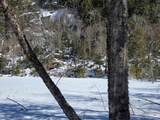 00 Turkey Mountain Road - Photo 47