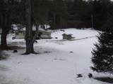 3186 South Road - Photo 4