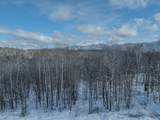 0 Cannon View Drive - Photo 58